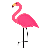 Team Page: Norah’s Flock